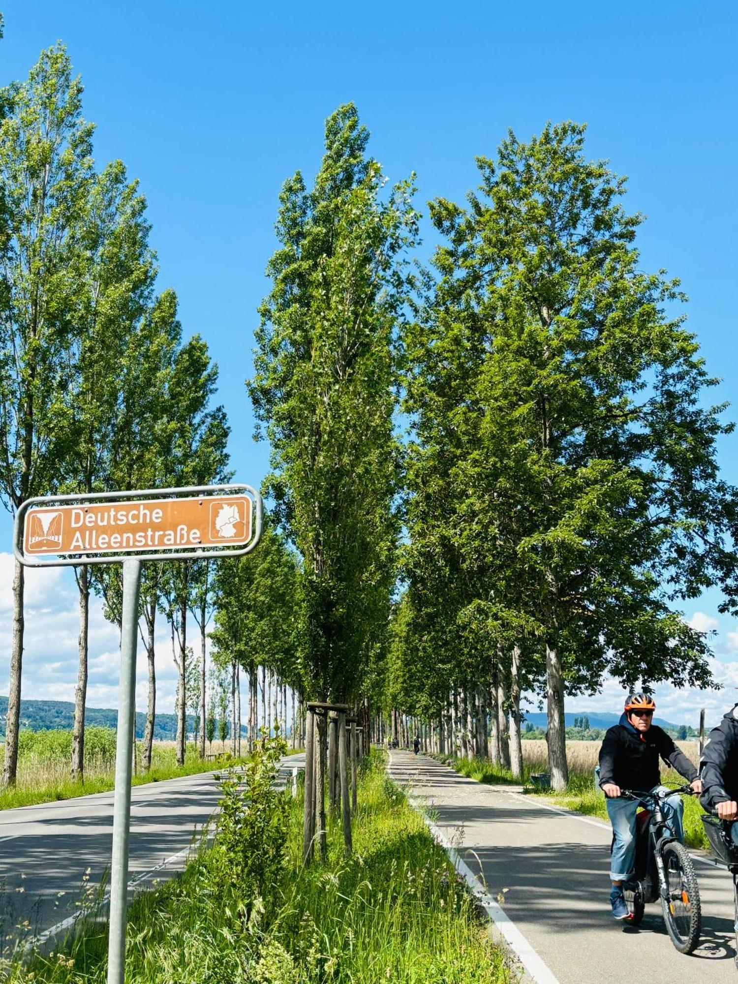 Lake View 110Sqm In/Outdoor Living Entire Apartment With 2 Bedrooms Reichenau Exterior photo